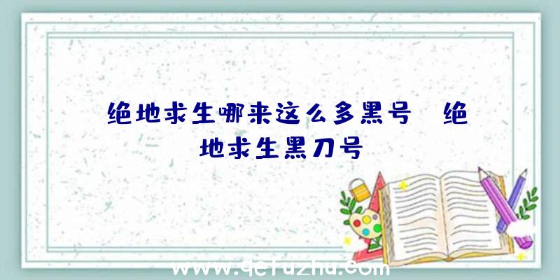 「绝地求生哪来这么多黑号」|绝地求生黑刀号